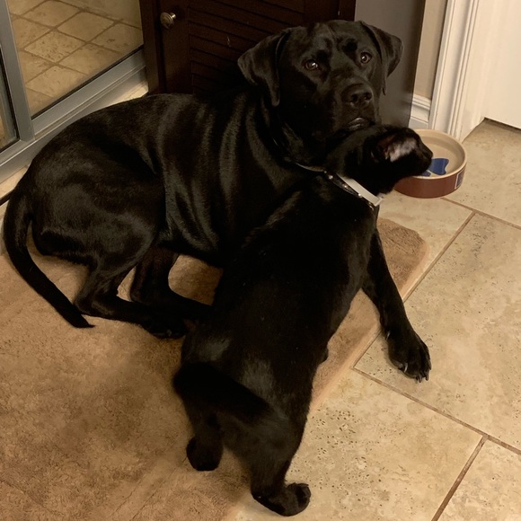 Meet your Posher, Juli - Picture 6 of 6